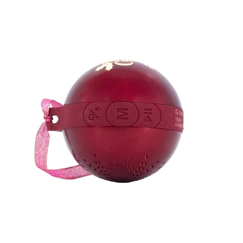 PARLANTE INALÁMBRICO TEROS TE-6018R BLUETOOTH 5.3, foto 1 de 4