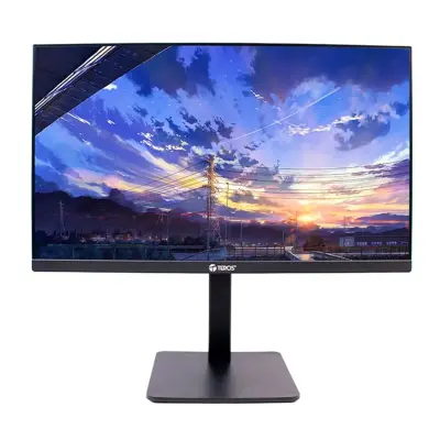 MONITOR TEROS TE-2416CS